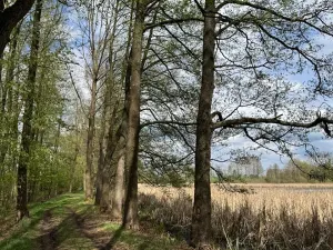 Prodej podílu pozemku, Stříbřec, 5449 m2