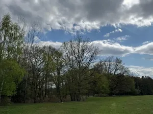 Prodej podílu pozemku, Stříbřec, 5449 m2