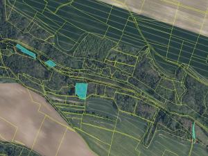 Prodej lesa, Mělnické Vtelno, 5383 m2