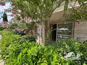 Prodej bytu 2+kk, Nesebar, Bulharsko, 65 m2