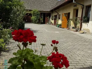 Prodej vícegeneračního domu, Slavičín, 185 m2