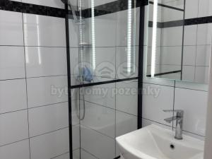 Prodej bytu 1+1, Teplice - Řetenice, Denisova, 36 m2