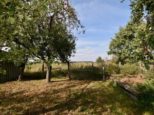 Prodej chalupy, Radovesnice II, 140 m2