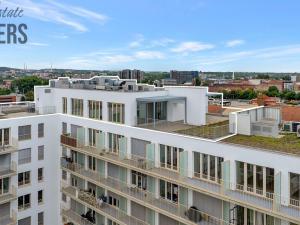 Prodej bytu 5+kk, Brno - Trnitá, Trnitá, 258 m2
