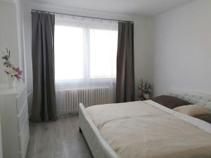 Pronájem bytu 3+kk, Šumice, 100 m2