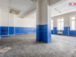 Pronájem výrobních prostor, Krásná Lípa, Stradalova, 800 m2