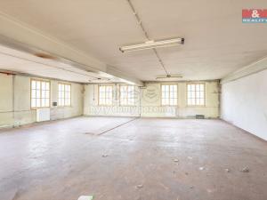 Pronájem výrobních prostor, Krásná Lípa, Bezručova, 5000 m2