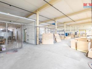 Pronájem výrobních prostor, Krásná Lípa, Bezručova, 5000 m2