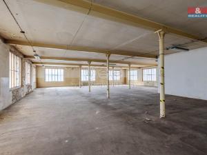 Pronájem výrobních prostor, Krásná Lípa, Bezručova, 5000 m2