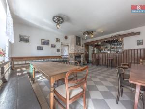 Prodej ubytování, Třebívlice - Dřemčice, 950 m2