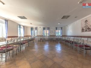 Prodej ubytování, Třebívlice - Dřemčice, 950 m2