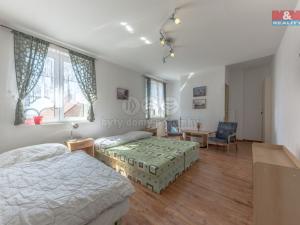 Prodej ubytování, Třebívlice - Dřemčice, 950 m2