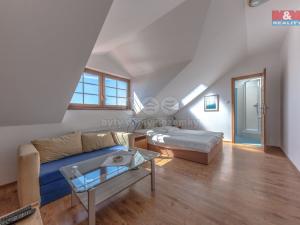 Prodej ubytování, Třebívlice - Dřemčice, 950 m2