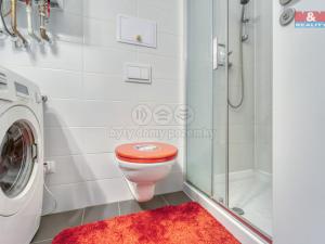 Prodej bytu 2+kk, Plzeň - Jižní Předměstí, Mánesova, 58 m2