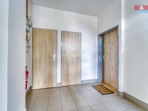 Prodej bytu 2+kk, Plzeň - Jižní Předměstí, Mánesova, 58 m2