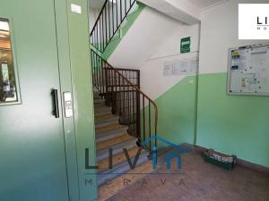 Pronájem bytu 3+1, Olomouc, Tererovo nám., 59 m2