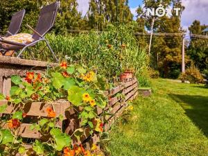 Prodej chalupy, Bohdalovice, 60 m2