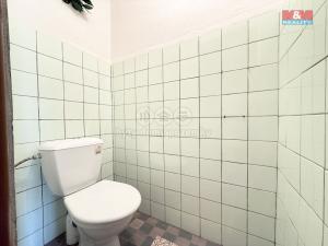 Prodej chalupy, Teplice nad Metují - Dolní Teplice, Palackého, 99 m2