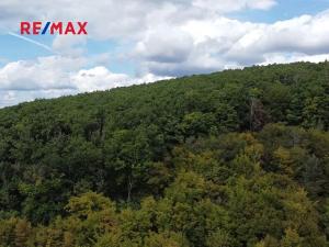 Prodej lesa, Lelekovice, 22668 m2