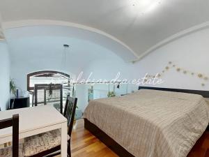 Prodej bytu 1+kk, Praha - Karlín, Šaldova, 40 m2