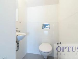 Pronájem bytu 4+1, Praha - Vinohrady, Benešovská, 140 m2