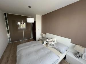 Pronájem bytu 2+kk, Liberec, U Sila, 56 m2