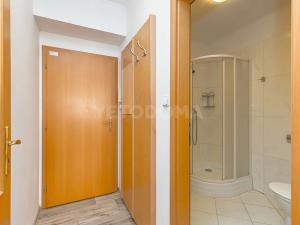 Pronájem bytu 2+kk, Blovice, Americká, 36 m2