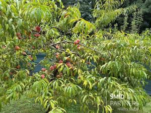 Prodej chaty, Kolín, A. M. Jelínka, 26 m2