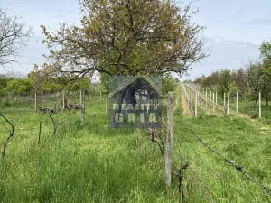 Prodej vinného sklepa, Vlkoš, 50 m2