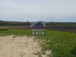 Prodej vinného sklepa, Vlkoš, 50 m2
