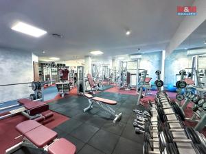 Prodej obchodního prostoru, Praha - Smíchov, Kobrova, 276 m2