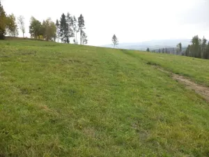 Dražba louky, Vlastiboř, 23043 m2