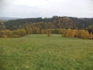 Dražba louky, Vlastiboř, 23043 m2