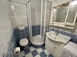 Pronájem bytu 1+kk, Kladno, Na růžovém poli, 38 m2