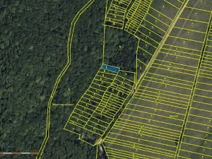 Prodej lesa, Hrubá Vrbka, 398 m2