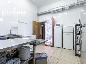 Pronájem restaurace, Teplice, U divadla, 162 m2