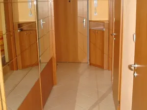 Prodej bytu 2+kk, Brno, Dusíkova, 68 m2