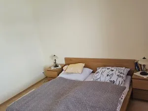 Prodej bytu 2+kk, Brno, Dusíkova, 68 m2