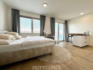Pronájem bytu 1+kk, Brno, Sportovní, 36 m2