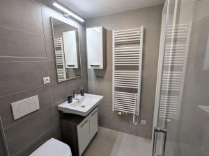 Pronájem bytu 1+kk, Brno, Placzkova, 27 m2