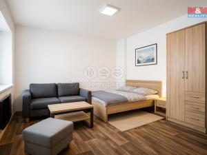 Pronájem bytu 1+kk, Petrovice, 34 m2