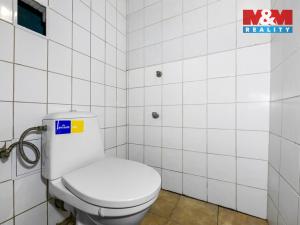 Pronájem obchodního prostoru, Domažlice - Týnské Předměstí, Boženy Němcové, 65 m2