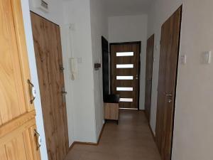 Pronájem bytu 2+1, Hranice, Vítězná, 51 m2