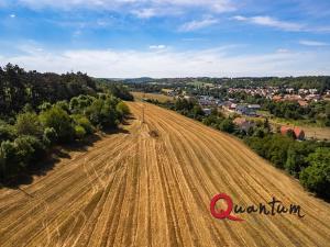 Prodej pozemku pro bydlení, Brandýsek, Nad Kovárnou, 16339 m2