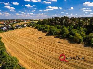 Prodej pozemku pro bydlení, Brandýsek, Nad Kovárnou, 16339 m2