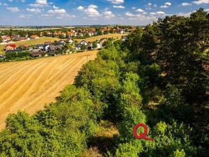 Prodej pozemku pro bydlení, Brandýsek, Nad Kovárnou, 16339 m2