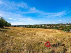 Prodej pozemku pro bydlení, Brandýsek, Nad Kovárnou, 16339 m2
