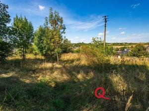 Prodej pozemku pro bydlení, Brandýsek, Nad Kovárnou, 16339 m2