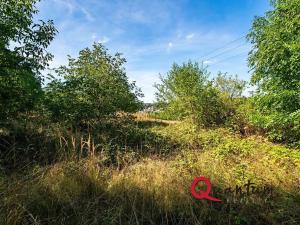 Prodej pozemku pro bydlení, Brandýsek, Nad Kovárnou, 16339 m2