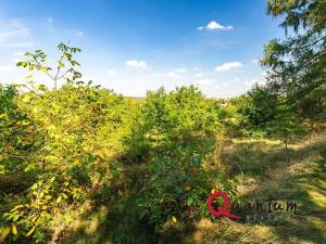 Prodej pozemku pro bydlení, Brandýsek, Nad Kovárnou, 16339 m2